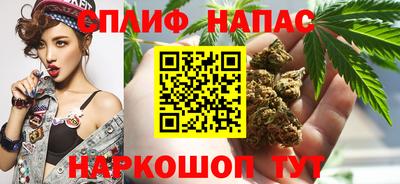 индика Кулебаки