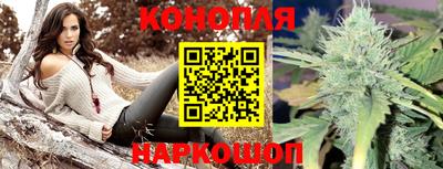 индика Кулебаки