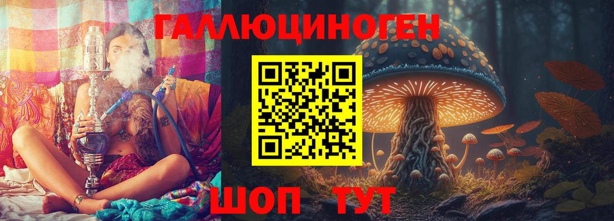 Псилоцибиновые грибы Psilocybine cubensis Биробиджан